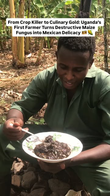 Thomas tasting a plate of cooked huitlacoche